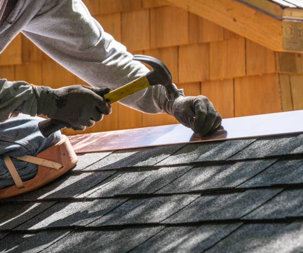 Best Local Roofing Companies  in Cary, IL